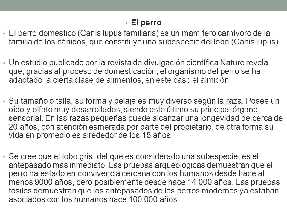 La mancha de pigmento y el destino